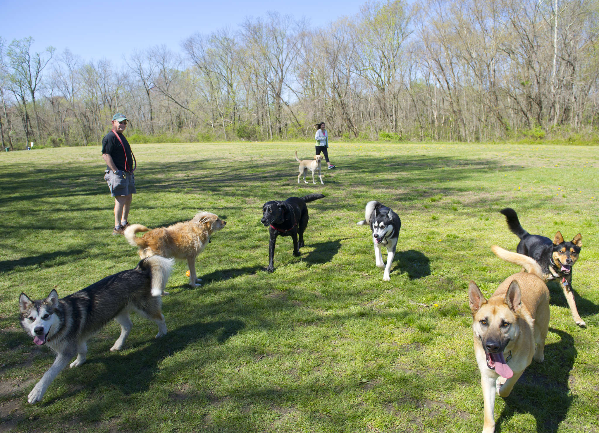 images/events/DogPark_2_gbE1y3X.jpg