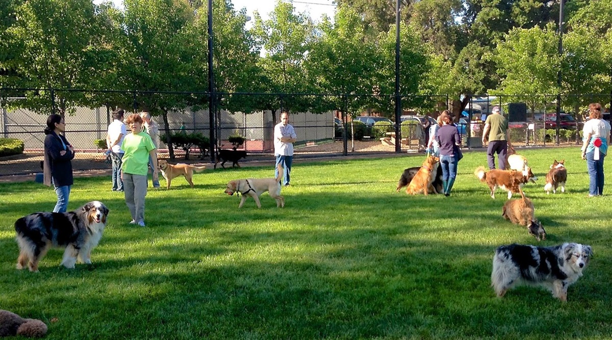 images/events/DogPark_3_NOCqlYS.jpg