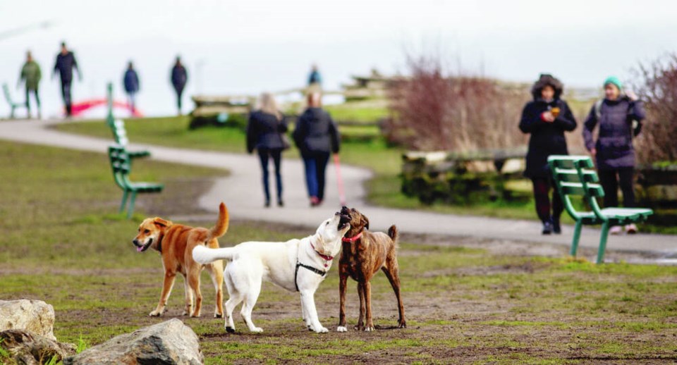 images/events/DogPark_4.jpg