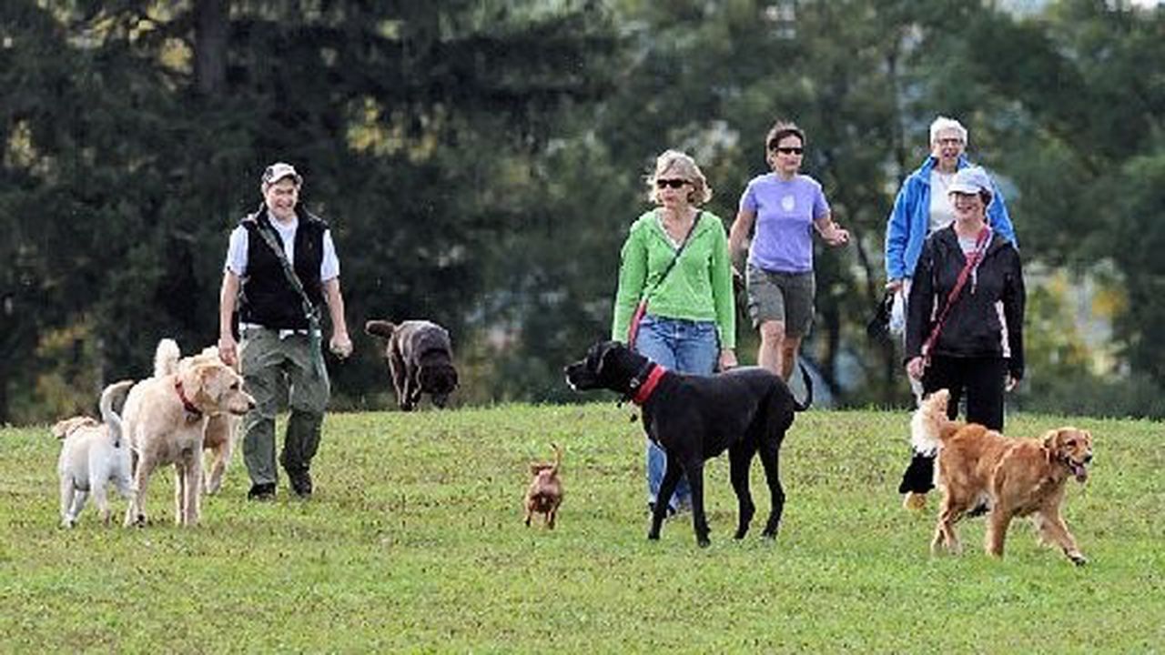 images/events/DogPark_5.jpg